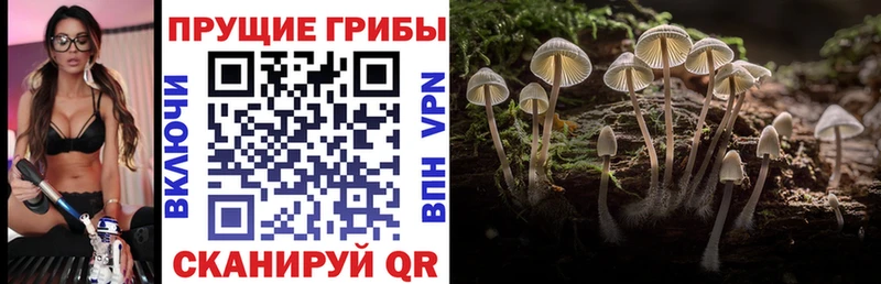 Псилоцибиновые грибы Magic Shrooms Далматово